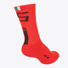 SC Classic Socks