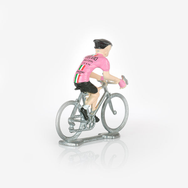 Little Cyclist - Stelvio Giro